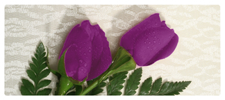 DNSEMP-L-053 2 Roses Orchid